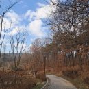 세종동_전월산 무궁화 테마공원 이미지