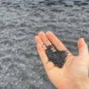 거북이약국 이미지