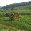 김원일농장 이미지