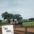 달리는커피제주도남 | 아이와 제주 여행 필수코스 성산 승마 체험 가능한 서귀포 카페 밭디 솔직후기