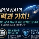 라파 - 창원시 마산합포구 비포길 61 | 라파