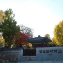 백덕순 사진갤러리 189. 가을 낭만 성균관대학교 이미지