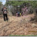 장성마을 건너 이미지