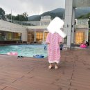 오버더마운틴 이미지