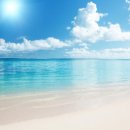 두메아리 이미지