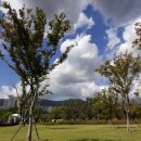 부산시민공원 이미지