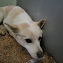 청북새싹길 이미지