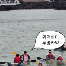 스테이지금처럼귀덕 | 제주 한림 애월 아이랑 가볼만한곳 | 귀덕바다 투명카약 내돈내산 후기