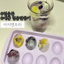 아이스N아메리카노 | 크리스탈 아이스볼 얼음틀 홈카페 꽃 얼음 이지앤프리 솔직후기