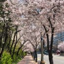 황금인력파출 - 수원시 권선구 정조로 458 | 황금인력파출