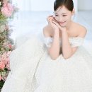 보니타컬렉션