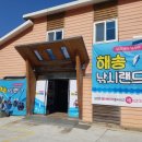 해송낚시