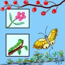 ........................................ 이미지