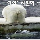 퍼니투퍼니