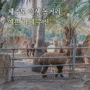 야금밭 - 달서구 파도고개로 21 | 제주도 카페 서귀포 제주시 놀거리 예쁜 카페