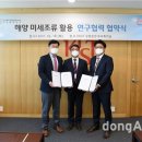 마이크로알지에스크어스 이미지