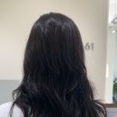 에비뉴1661 이미지