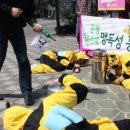 강남농약 이미지