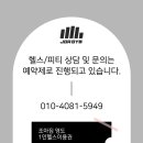 조아짐 영도 이미지