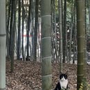 예스모터스 | 부산 신상 핫플 F1963 첫 방문 후기