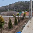 이정애농장 이미지