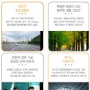 담양남초등학교 | 담양 더테라스 타운하우스 한국아델리움 진행 과정