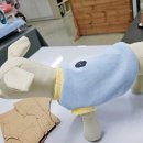 강아지 옷 만들기 이미지