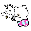 파넬테라스