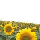 기독교서점 이미지