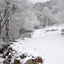 황토마루 이미지