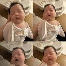 [일상포토덤프] 신생아 육아란 고되지만 행복한것 👶🏻 / 조동모임