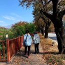 보송장여관 | 제천 청풍문화재단지,덕주산성. 충주 미륵사지.