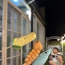 스테이더문 이미지