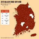 맘스터치광주 이미지