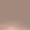 Venom The Last Dance 이미지