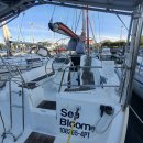 야음로12번길R | 2024년 5월 리스본