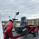 씽씽모터스 | 충북 보은군 보은읍 노인전동차 씽씽 200 전기 삼륜차 납품 적재함 덤프 가능 차량!!