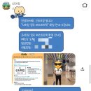 신도국제여행사