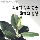 고령택시 노동조합 이미지
