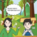 산림청, 목재등급평가사 제도로 효율적인 제재목·집성재 규격·품질 검사 시행 이미지