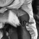 나무의노래 이미지