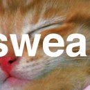 캔디팩토리 이미지