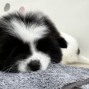 드라이세상(태평) 이미지