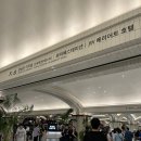 서초-서초-서초-30200 | 파이브가이즈 고속터미널점 :위치/주문방법/매장식사