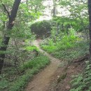 외갓집 가는 길 이미지