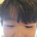 히희히