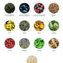 메디칼팜약국 이미지