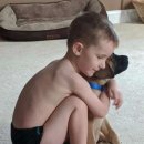 꼬마강아지 이미지