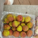 용안광장마트 이미지