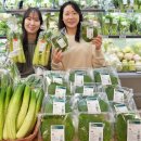 롯데마트 이미지